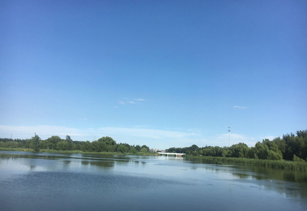 【快穿之娇花的精液浇灌之旅团建】烧烤，是平凡生活里的热辣慰藉。